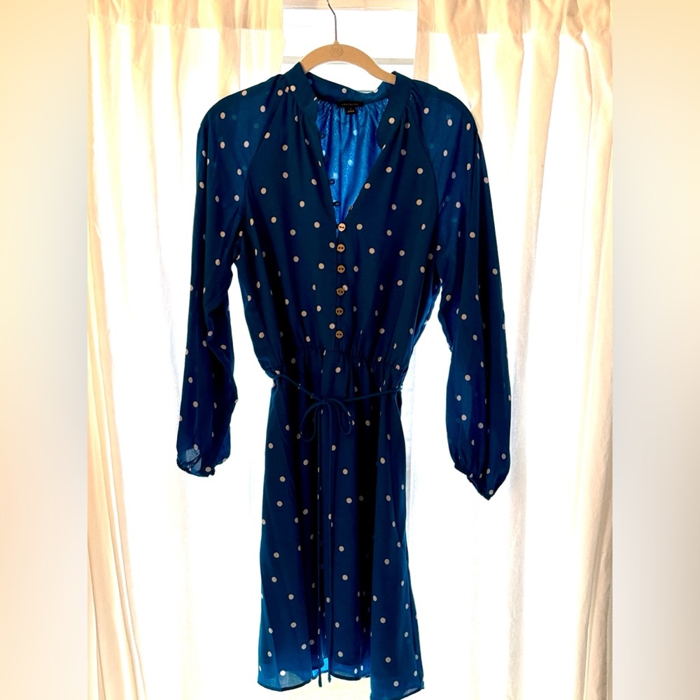 Super cute and classy!  Blue with white polka dots dress by Ann Taylor.